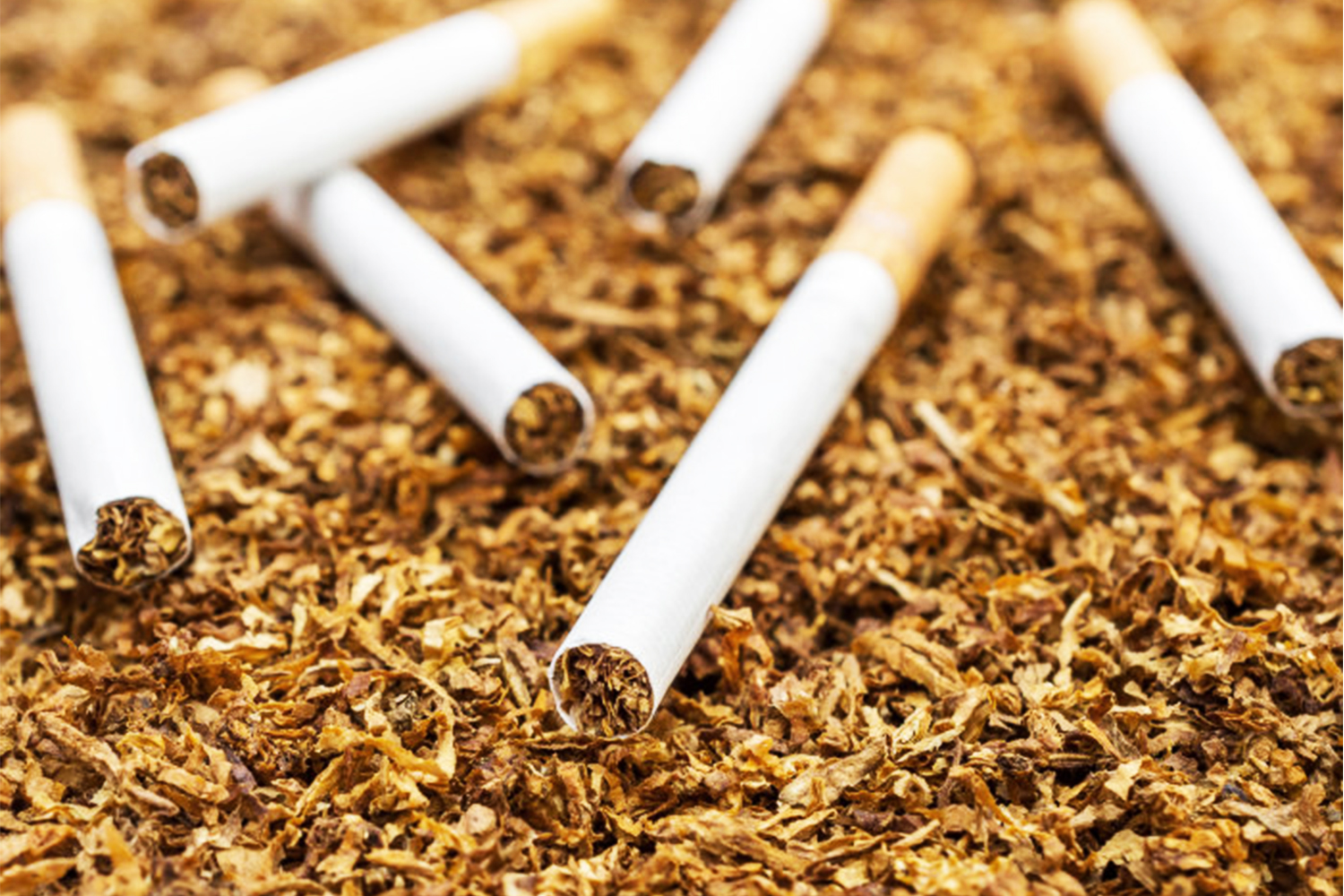 Big Tobacco wants African nations to do its bidding