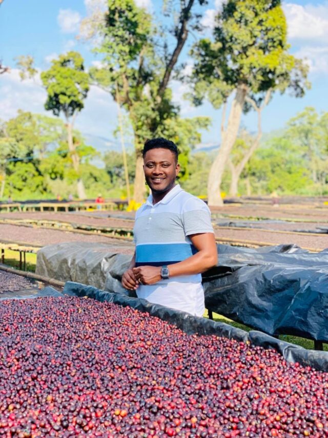Ethiopia’s coffee auction reaps big Capital Newspaper